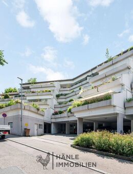 Großzügig geschnittene 4-Zimmerwohnung mit 80m² Terrasse zu verkaufen! - Künzelsau