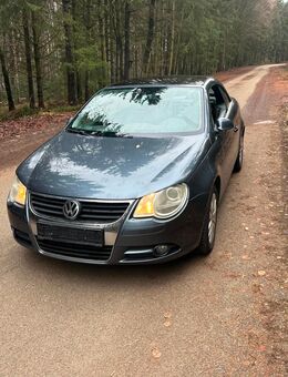 Schlachtfest Vw eos - Neumarkt (Oberpfalz) Zentrum