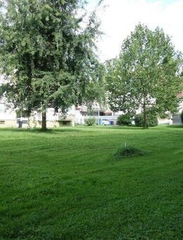 Charmante 2-Zimmer-Wohnung mit Balkon, Stellplatz & Garten - ideal für Singles oder Paare! - Mosbach