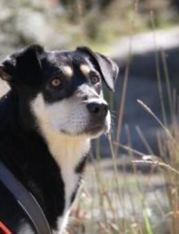 Titika Die übersehene Schönheit - Eixen