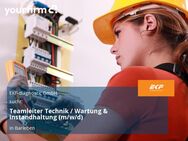 Teamleiter Technik / Wartung & Instandhaltung (m/w/d) - Barleben