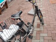Verkaufe mehrere E Biks fast neu bis 100km Akkuleistung wenig benützt - Falkenberg (Elster) Zentrum