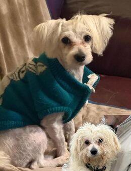 Ich heiße Casper... mit Video - Frankfurt (Main)