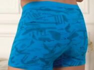 Blaue Boxershort - Herne