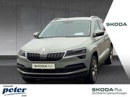 Skoda Karoq, CLEVER COLUMBUS, Jahr 2021 - Nordhausen