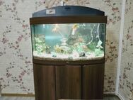 Aquarium Juwel Rio LED 180 Liter - Berlin Marzahn-Hellersdorf