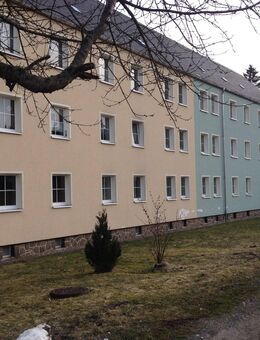 2-Raum-Wohnung im Erdgeschoss - Johanngeorgenstadt