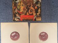 D-LP Cottonwoodhill - Brainticket - BLS 5563 - Schallplatte / Vinyl - Bellaphon - D LP - Garbsen