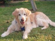 KIRA-SENIORIN MIT CHARME - Algermissen