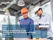 (Senior) Projektleiter in der Stadtsanierung und Stadtentwicklung (m/w/d) - Kronshagen