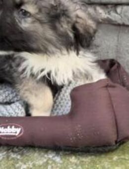 Balthasar - wer sonst?! - München