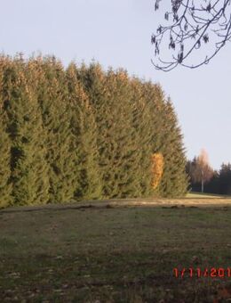 Er sucht Ihn bis 45 Jahre - Georgenberg