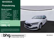 Skoda Octavia, 2.0 TDI Style Octavia Combi Style, Jahr 2021 - Freudenstadt