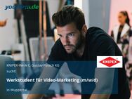 Werkstudent für Video-Marketing (m/w/d) - Wuppertal