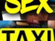 S*X Taxi, Taxi der besonderen Art - Schleswig