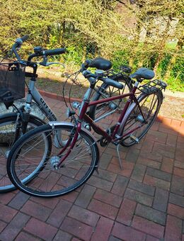 Fahrräder 28 Zoll - Heide
