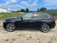 BMW X5 40d Voll Voll Voll Pure Excellence - Bergen (Rügen)