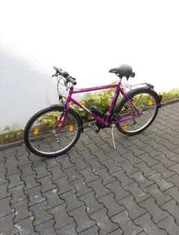 2 Trekking Fahrräder Fischer Trendline - Wiesbaden