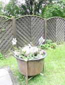 Springbrunnen in 50169