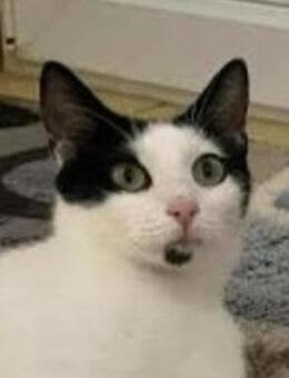 Vallyessa in Bulgarien - Ingolstadt