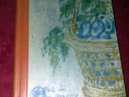 Buch, Roman, LIEBE - BROT DER ARMEN, Thyde Monnier, 1956 - Fürth
