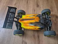 Losi 8ight xe - Bennewitz