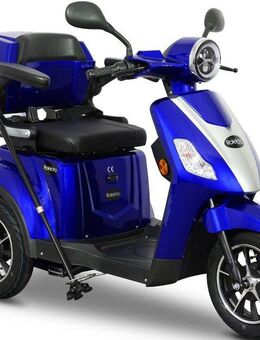 Rolektro Elektromobil E-Trike 25 V.2, Blei-Gel-Akku, 1000 W, 25 km/h, (mit Topcase)