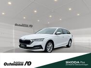 Skoda Octavia, Combi Style 110kw TDI, Jahr 2020 - Niestetal