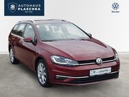 VW Golf, 2.0 TDI Var Highline, Jahr 2020 - Amelinghausen