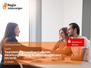Teamleitung / stellvertretende Abteilungsleitung Kreditmanagement (m/w/d) - Wedel