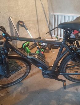 E Bike der Marke Hercules - Roggendorf