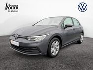 VW Golf, 2.0 TDI VIII Life, Jahr 2020 - Uelzen