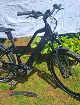 Simplon Kagu Modell 40, Baujahr 2020 - München Thalkirchen-Obersendling