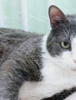 Jackpot Hanno - München