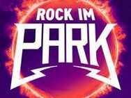 Suche Begleitung zum Rock im Park am Wochenende - Nürnberg