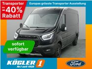 Ford Transit, Kasten 350 L3H2 Trail 170PS, Jahr 2024 - Bad Nauheim