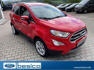 Ford EcoSport, Titanium WinterPaket, Jahr 2020 - Glauchau