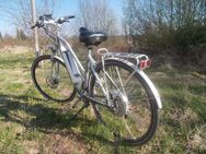 Diamant Zouma + deluxe Trekking-E-Bike - Freudenstadt