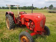 Porsche Diesel Standard Super 238 Oldtimer - Isernhagen