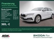 Skoda Octavia, 2.0 TSI Combi Style, Jahr 2024 - Heilbronn