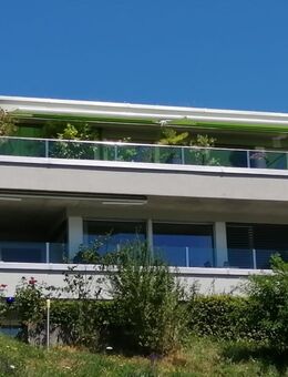 Grandiose Attika-Wohnung in Stettlen - Stettlen