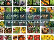 Gemüse Samen Saatgut Sämerei / Pflanze / Tomate - Gießen Zentrum