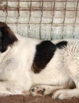 Vom Schatten ins Licht: Mayla - München