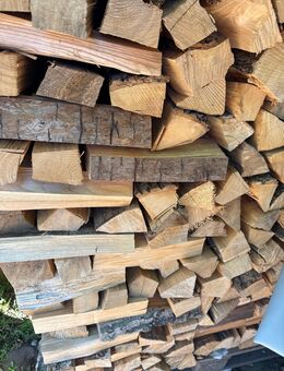 Brennholz kaminholz - Waren (Müritz)