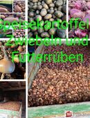 Speisekartoffeln und Futterrüben in 07751