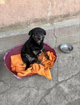 Lola sucht ihr Glück - Leipzig