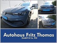 VW Golf, 2.0 TDI VIII Life, Jahr 2022 - Celle