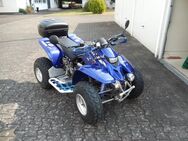 Quad ATV Yamaha (J) Warrior 350 2004 - München