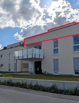 Exklusive Penthouse-Wohnung mit XXL-Dachterrasse – Erstbezug in Aßmannshardt (Schemmerhofen) - Schemmerhofen