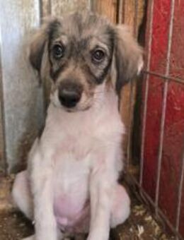 Hallo - ich bin Mala - München